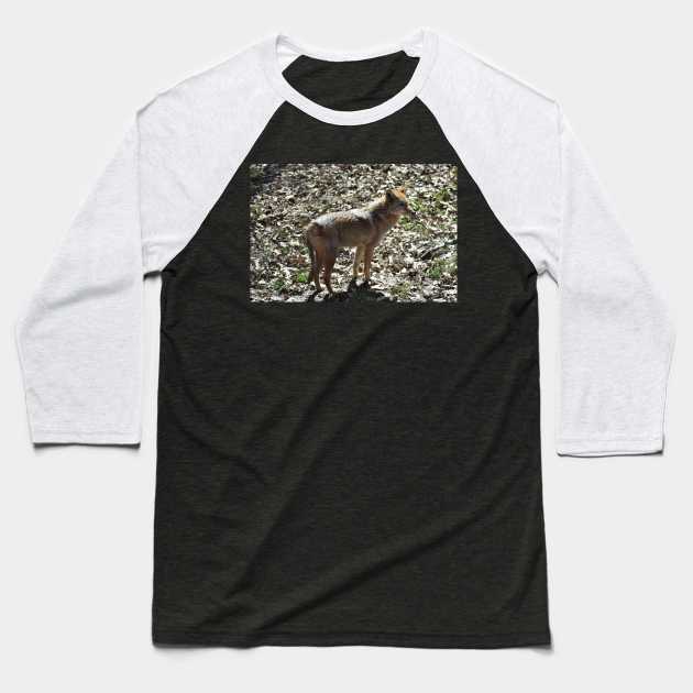 Coyote Baseball T-Shirt by MarieDarcy